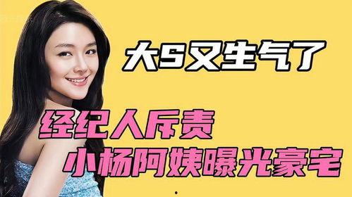 大s前经纪人爆料视频,视频揭秘娱乐圈不为人知的一面