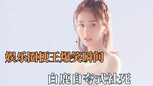 娱乐圈爆料白鹿王鹤棣 第3张 娱乐圈爆料白鹿王鹤棣 第3张