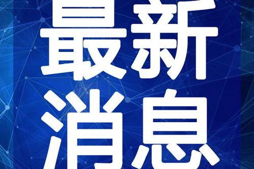 营口火车站爆料视频最新,现场实况引人关注