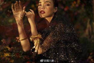 世界爆料女王嘉爷视频全集,视频全集深度解析