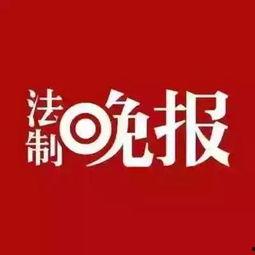 法制新闻 爆料电话,独家爆料电话背后的真相