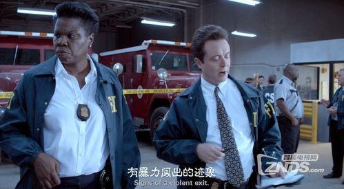 犯罪大师bd在线观看,揭秘罪案背后的真相与人性较量  第3张