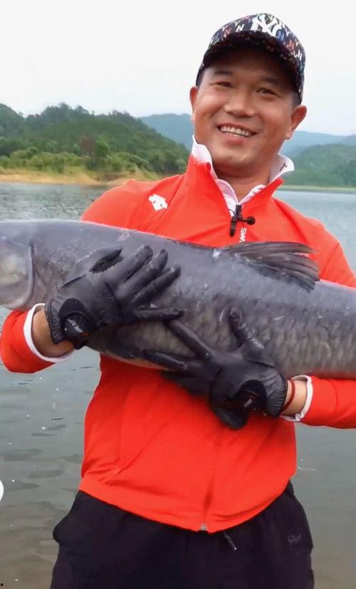 邓刚爆料钓鱼圈视频,钓鱼圈幕后真相,视频曝光惊人内幕 第2张 邓刚爆料钓鱼圈视频,钓鱼圈幕后真相,视频曝光惊人内幕 第2张