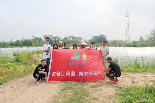 信阳免费吃瓜,免费吃瓜活动盛大开启,清凉一夏尽享瓜果盛宴 第3张 信阳免费吃瓜,免费吃瓜活动盛大开启,清凉一夏尽享瓜果盛宴 第3张