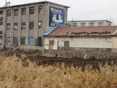 爆料龙口违建事件最新情况,官方调查结果及后续处理措施揭晓