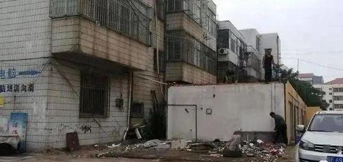 爆料龙口违建事件最新情况,官方调查结果及后续处理措施揭晓  第2张