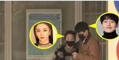 明星恋情爆料视频,甜蜜瞬间被捕捉，恋情真相大揭秘