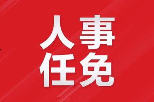 赣州新闻爆料视频大全集,视频大全集深度解析