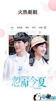 郑伟爆料视频播放全集下载,揭秘事件真相全貌  第3张