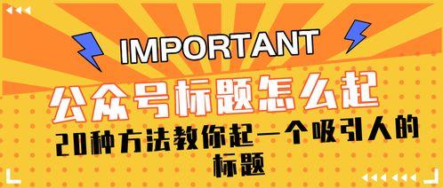 娱乐聚焦爆料怎么写标题,揭秘明星幕后故事，带你走进娱乐圈的真相世界