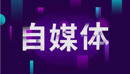 娱乐聚焦爆料怎么写标题,揭秘明星幕后故事，带你走进娱乐圈的真相世界  第2张