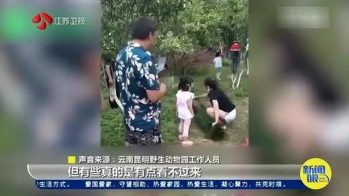 毛人龙被爆料视频大全最新,揭秘背后惊人真相