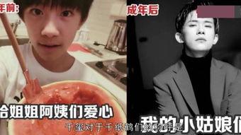 成仁在线观看,揭秘英雄传奇，重温革命岁月  第1张