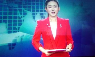 广东新闻爆料主持人是谁,揭秘神秘主持人身份 第2张 广东新闻爆料主持人是谁,揭秘神秘主持人身份 第2张