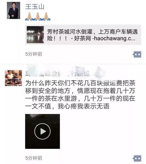 热门爆料中视频,一窥事件背后真相