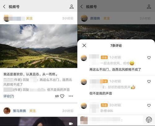 热门爆料中视频,一窥事件背后真相  第3张