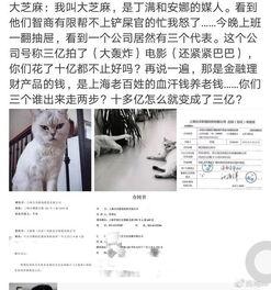 大芝麻爆料铲屎官视频播放,揭秘铲屎官背后的温馨故事