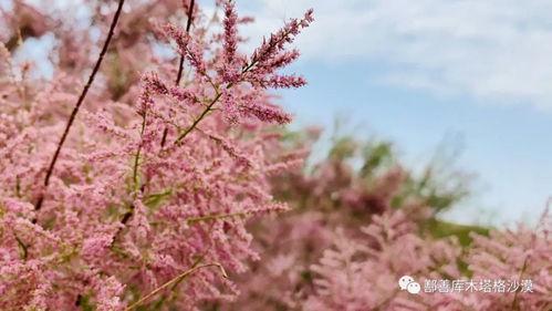 安排好行程娱乐吃瓜酱,一场说走就走的旅行盛宴