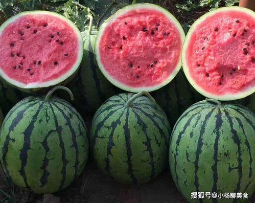 安排好行程娱乐吃瓜酱,一场说走就走的旅行盛宴  第2张