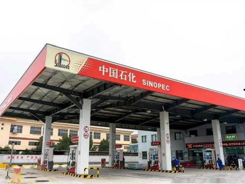 东莞加油站爆料事件视频,真相与争议交织的油品安全疑云  第3张