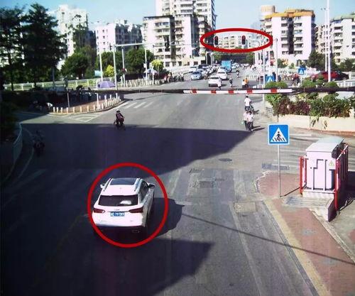 清远都市爆料最新消息,揭秘神秘事件背后的真相！  第2张