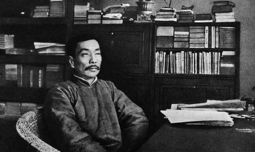 鲁迅最新爆料新闻报道视频,揭秘历史真相，视频内容引发热议  第2张