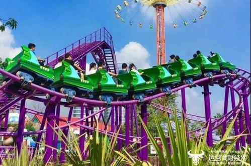 欢乐谷爆料事故视频,惊险瞬间引发安全反思  第3张