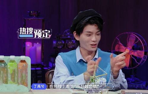 丁禹兮最新爆料,揭秘演艺圈幕后故事  第3张