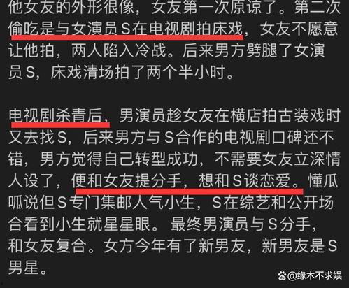 狗仔爆料 模板大全视频,揭秘娱乐圈幕后真相  第2张