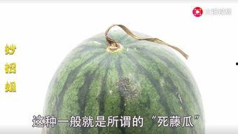 精品网红吃瓜,揭秘娱乐圈幕后真相  第3张