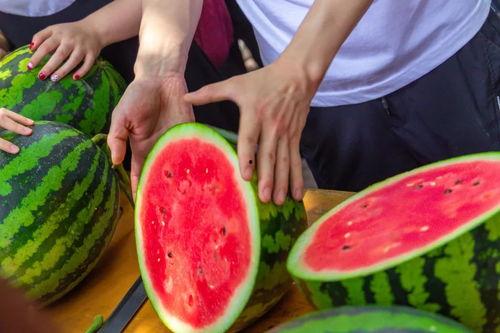 国内免费吃瓜网站有哪些,畅享娱乐资讯的便捷途径  第3张