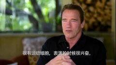 阿诺直播爆料视频大全集,视频大全集精彩瞬间回顾  第3张