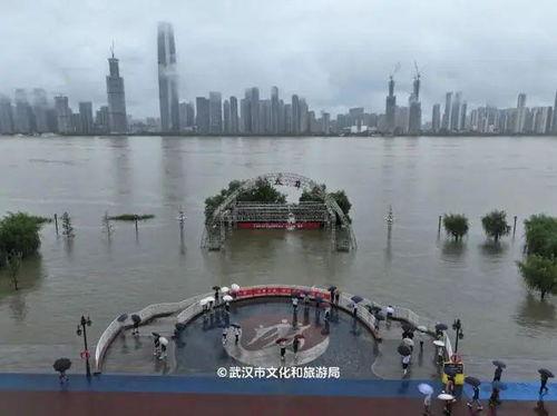 武汉江滩二桥爆料最新消息,工程进展与亮点速览