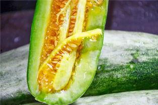 内蒙古赤峰网红吃瓜,瓜香四溢引全民围观  第3张