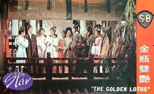 金瓶双梅在线观看,穿越时空的古典情缘  第3张