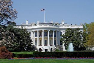 半岛新闻爆料最新消息,揭秘重大事件背后真相