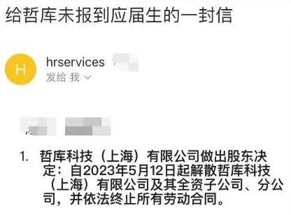 阿里最新爆料裁员员工,裁员风波下的员工生存现状揭秘  第2张