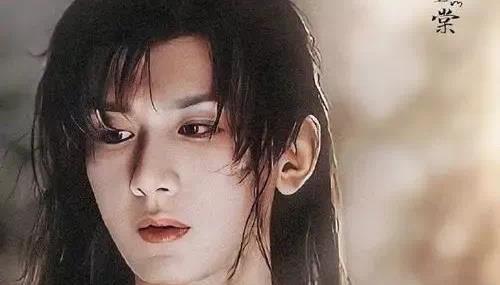 杨紫成毅娱乐大爆料,幕后故事与精彩瞬间