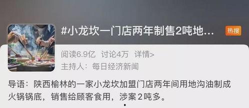 小龙坎最新爆料,揭秘火锅界的神秘新宠  第3张