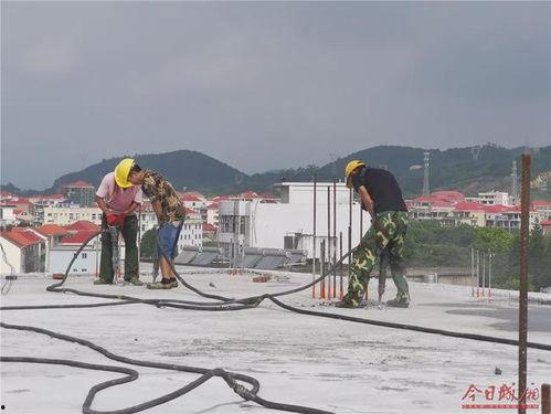 莆田东海镇爆料事件视频,真相与争议交织  第2张