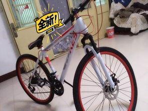 安阳自行车爆料案件视频,真相与疑云交织的悬疑故事