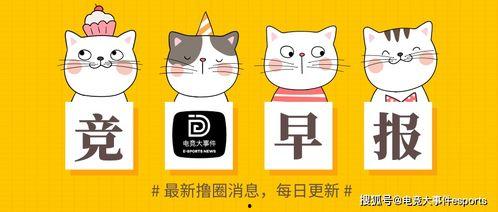 打假圈内人爆料怎么办,揭开假冒伪劣产品真相  第2张