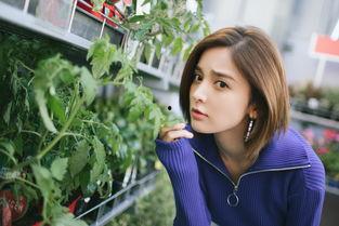 花房姑娘爆料视频大全下载,揭秘幕后故事与精彩瞬间  第3张