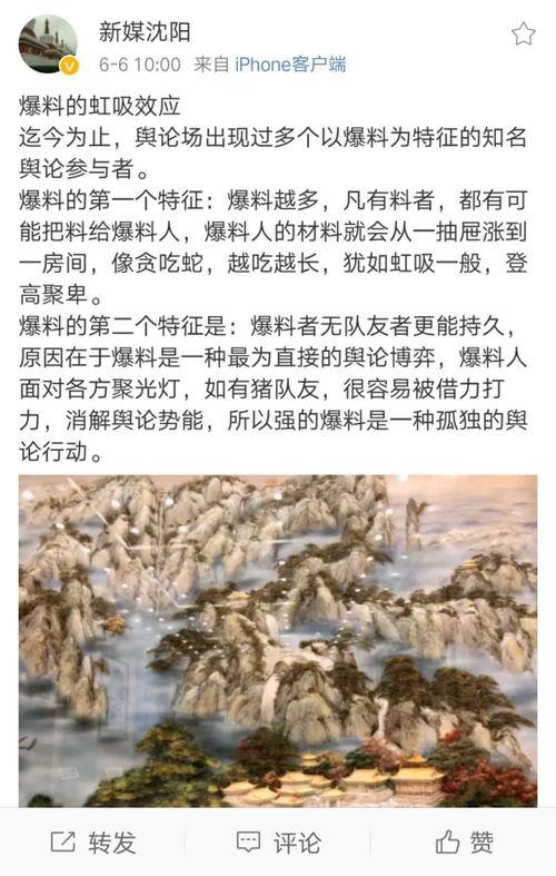 沈阳事件最新爆料,惊人内幕揭露真相