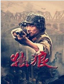 独狼电视剧全集在线观看,揭秘孤胆英雄的传奇人生  第2张