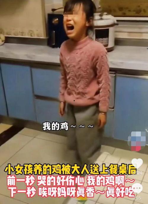 婆婆爆料视频大全最新,揭秘家庭生活那些不为人知的瞬间  第3张