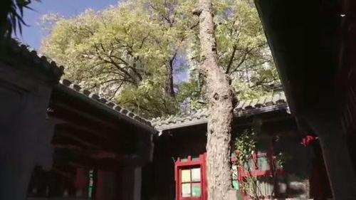 四合院冰心爆料视频,揭秘娱乐圈背后的真实故事 第2张 四合院冰心爆料视频,揭秘娱乐圈背后的真实故事 第2张