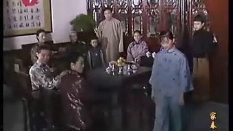 家春秋 在线观看,穿越百年家族传奇，在线观看重温历史沧桑  第3张
