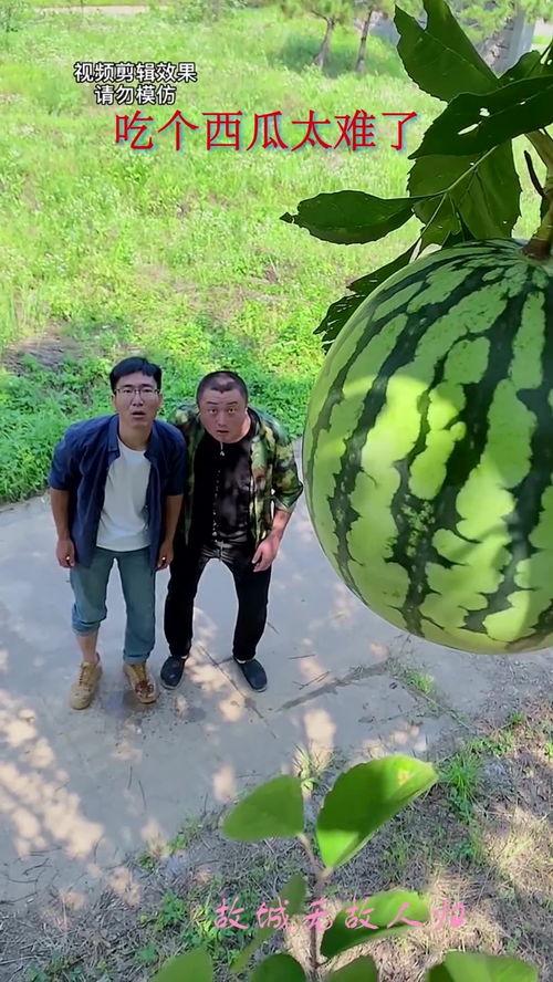 免费的吃瓜群在哪里找到,轻松加入畅享娱乐资讯的秘籍  第2张