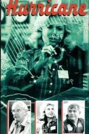 豹风在线观看,揭秘网络直播的狂野魅力  第2张